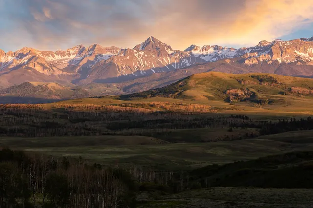 a view of a yard with wooden floor