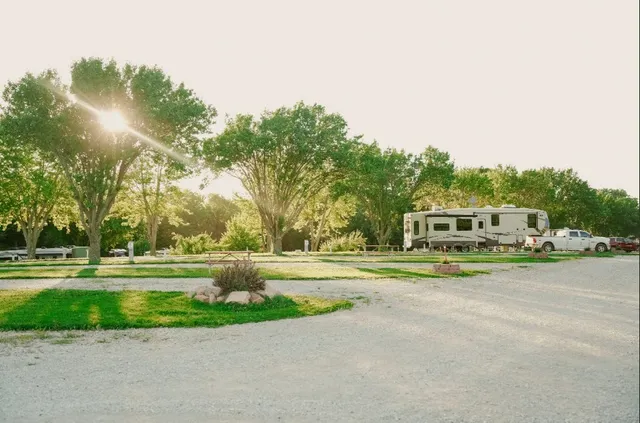 a view of a house with a tree