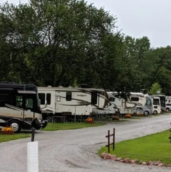a backyard of a house with lots of green space and plants