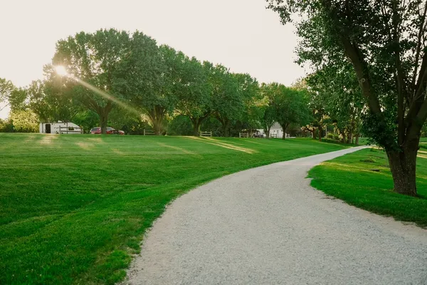 a view of a grassy field with trees
