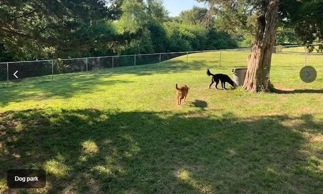 a green field with lots of trees in the background