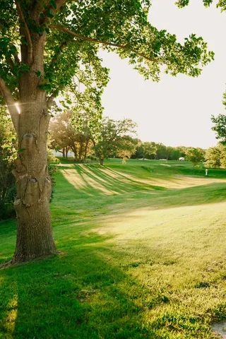 a view of an ocean from a yard