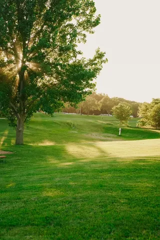 a view of a grassy field with an trees