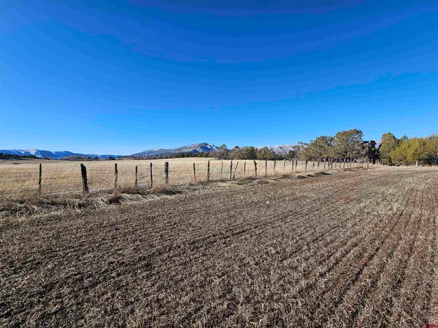 a view of a road from a yard