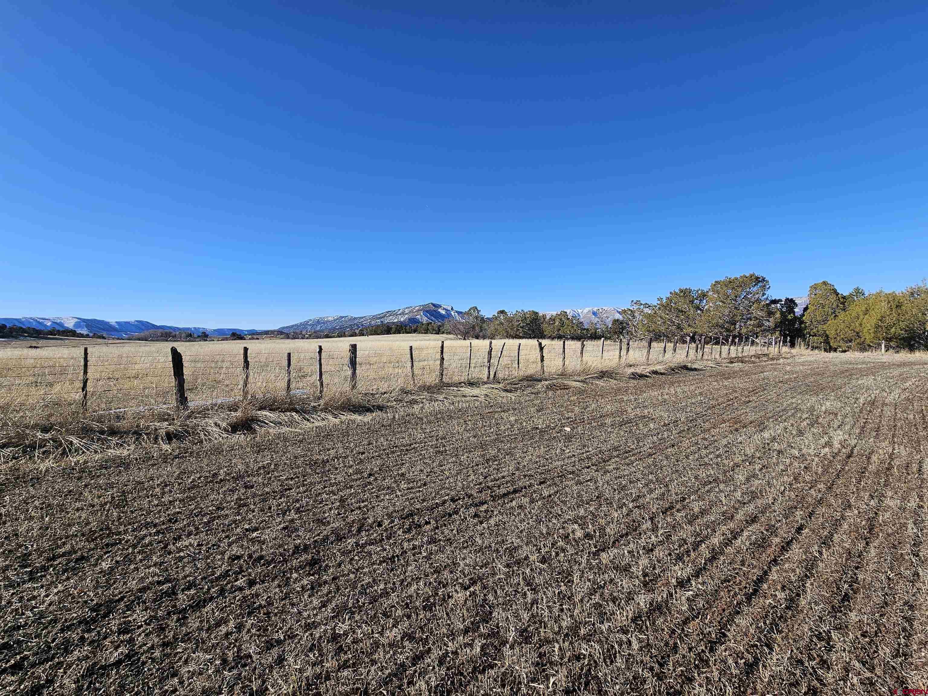 40926 Rd J Mancos, CO 81328 - Photo 13 of 24 a view of a road from a yard