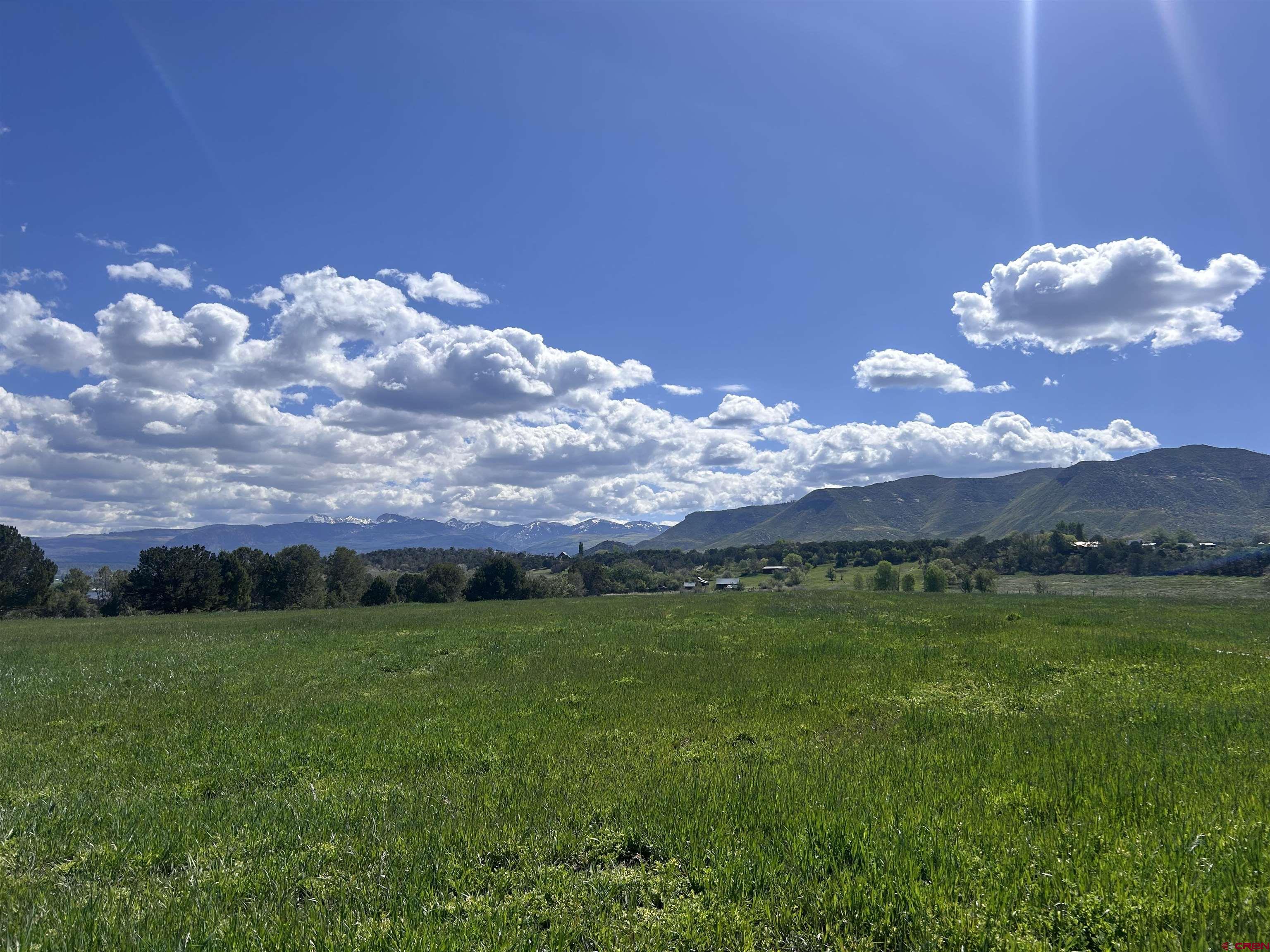 40926 Rd J Mancos, CO 81328 - Photo 3 of 24 a view of an outdoor space and yard