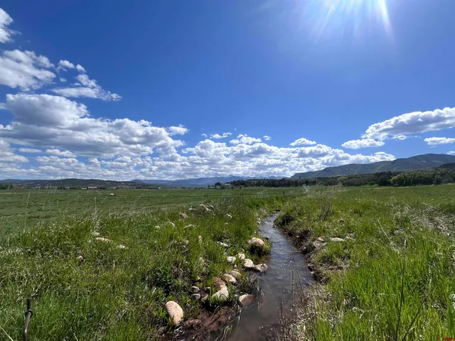 a view of a lake from a yard