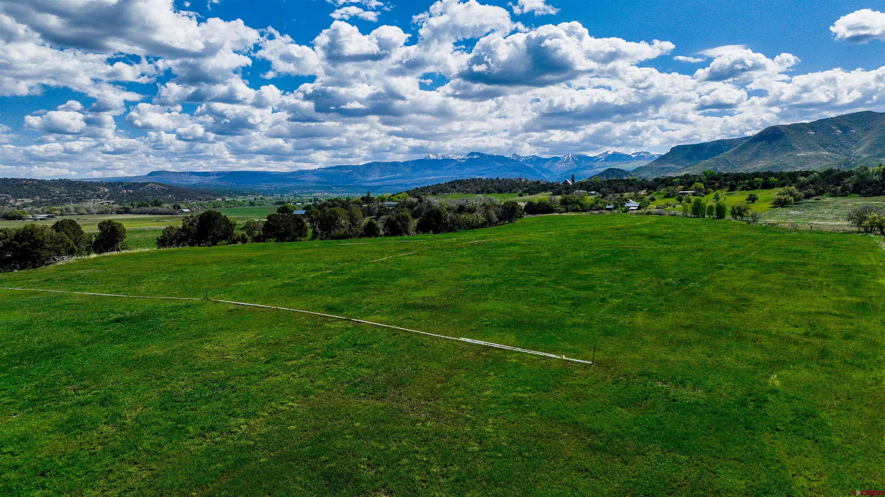 40926 Rd J Mancos, CO 81328 - Photo 5 of 24 a view of a big yard with lots of green space