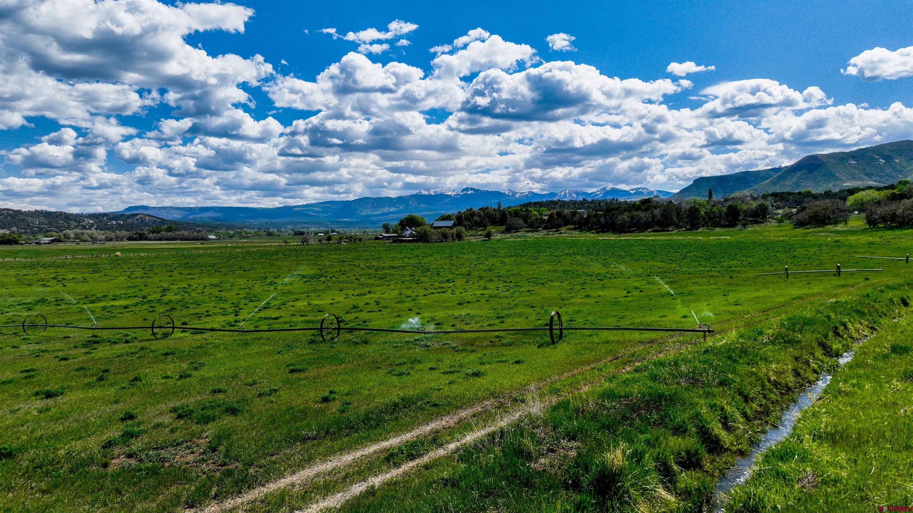 40926 Rd J Mancos, CO 81328 - Photo 6 of 24 a view of a big yard with a house