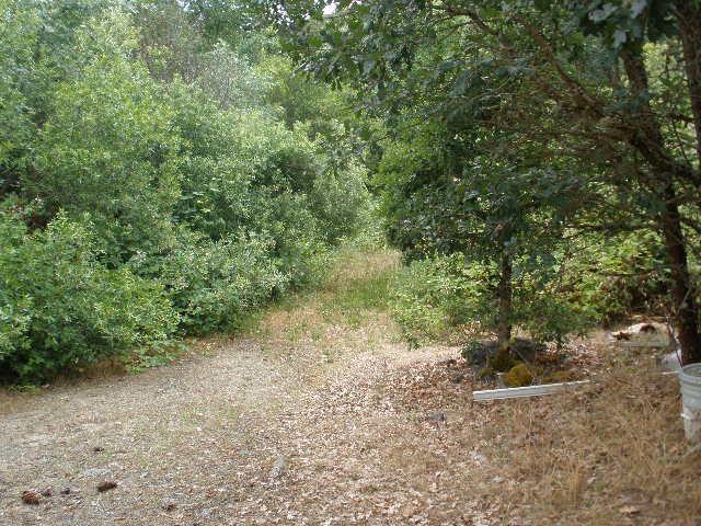 5063 Lane Creek Road Central Point, OR 97502 - Photo 11 of 13 Path to go to the back of the property t