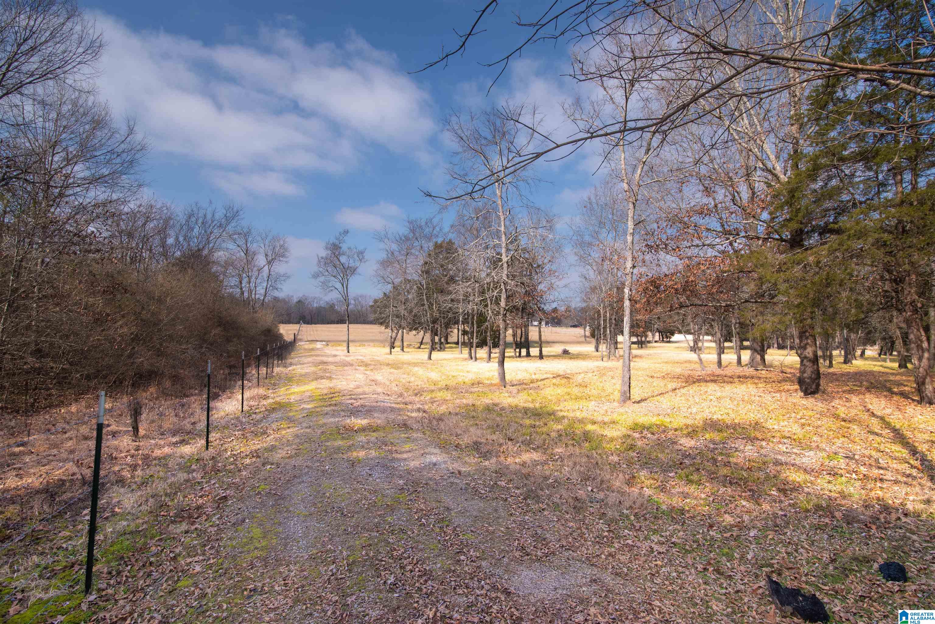 0 Day Drive, Unit 10 Somerville, AL 35670 - Photo 9 of 16