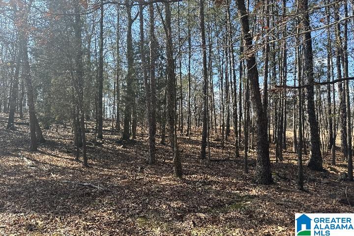 1036 Rushing Springs Road Lincoln, AL 35096 - Photo 39 of 58