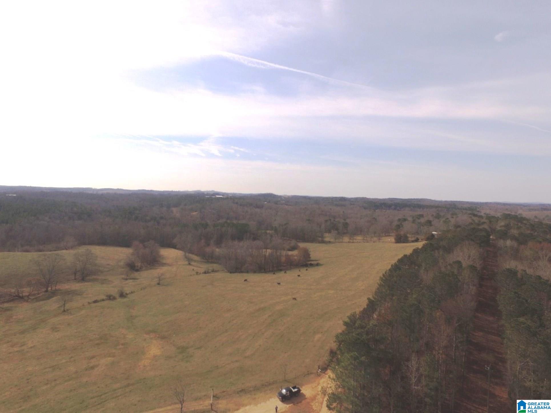 1500 Shiloh Church Road, Unit 81 95 ACRES Delta, AL 36258 - Photo 10 of 28