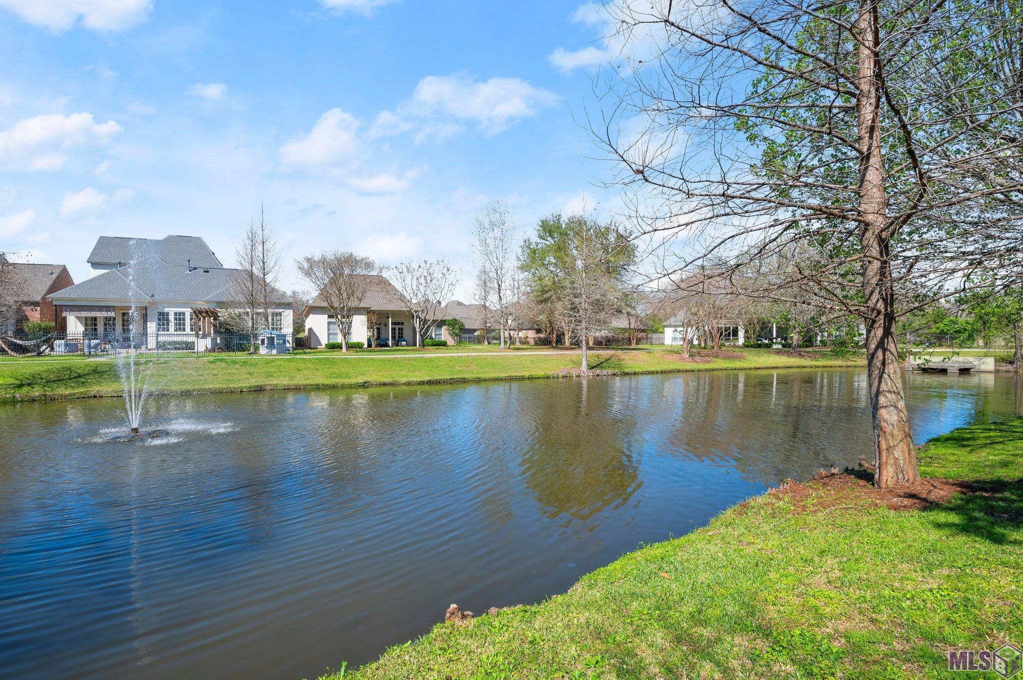2944 Lac D Or Avenue Baton Rouge, LA 70810 - Photo 37 of 43
