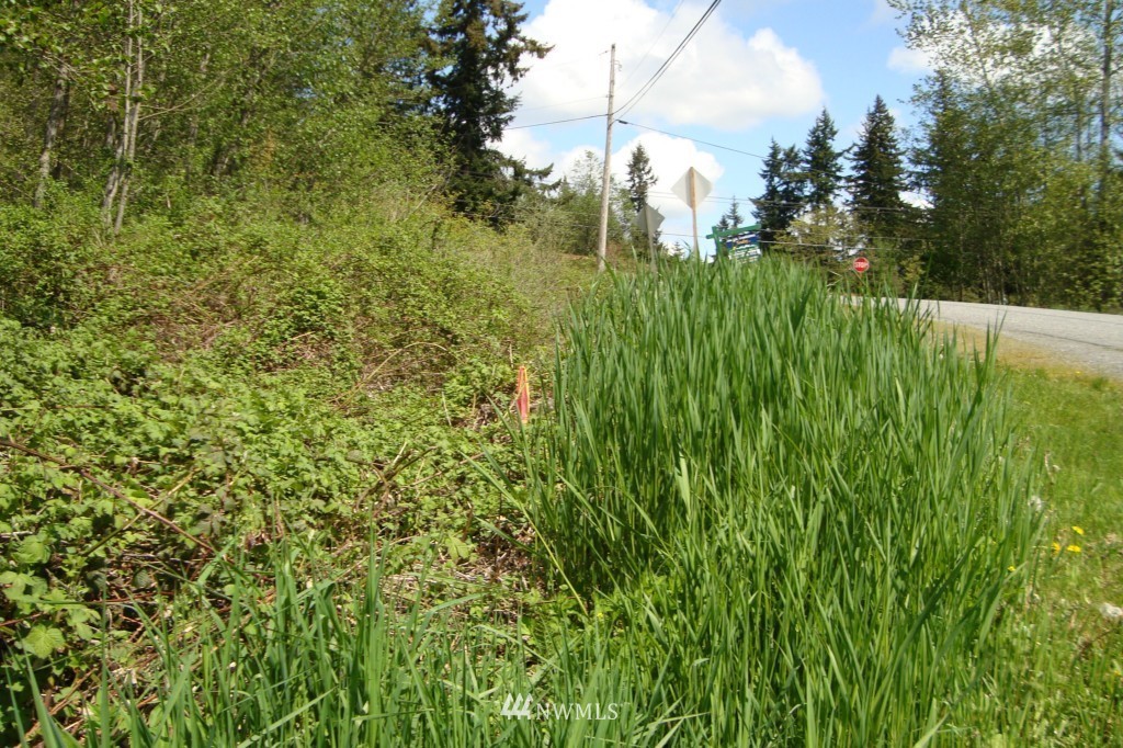 1 Mountain View Road Mount Vernon, WA 98274 - Photo 8 of 13 Gallery Image 8