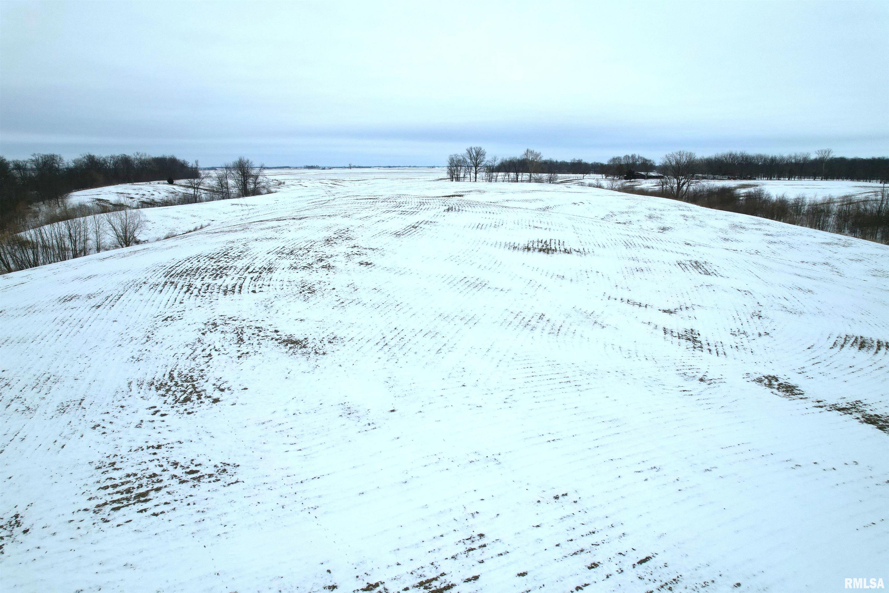 Ater Road Arenzville, IL 62611 - Photo 12 of 15