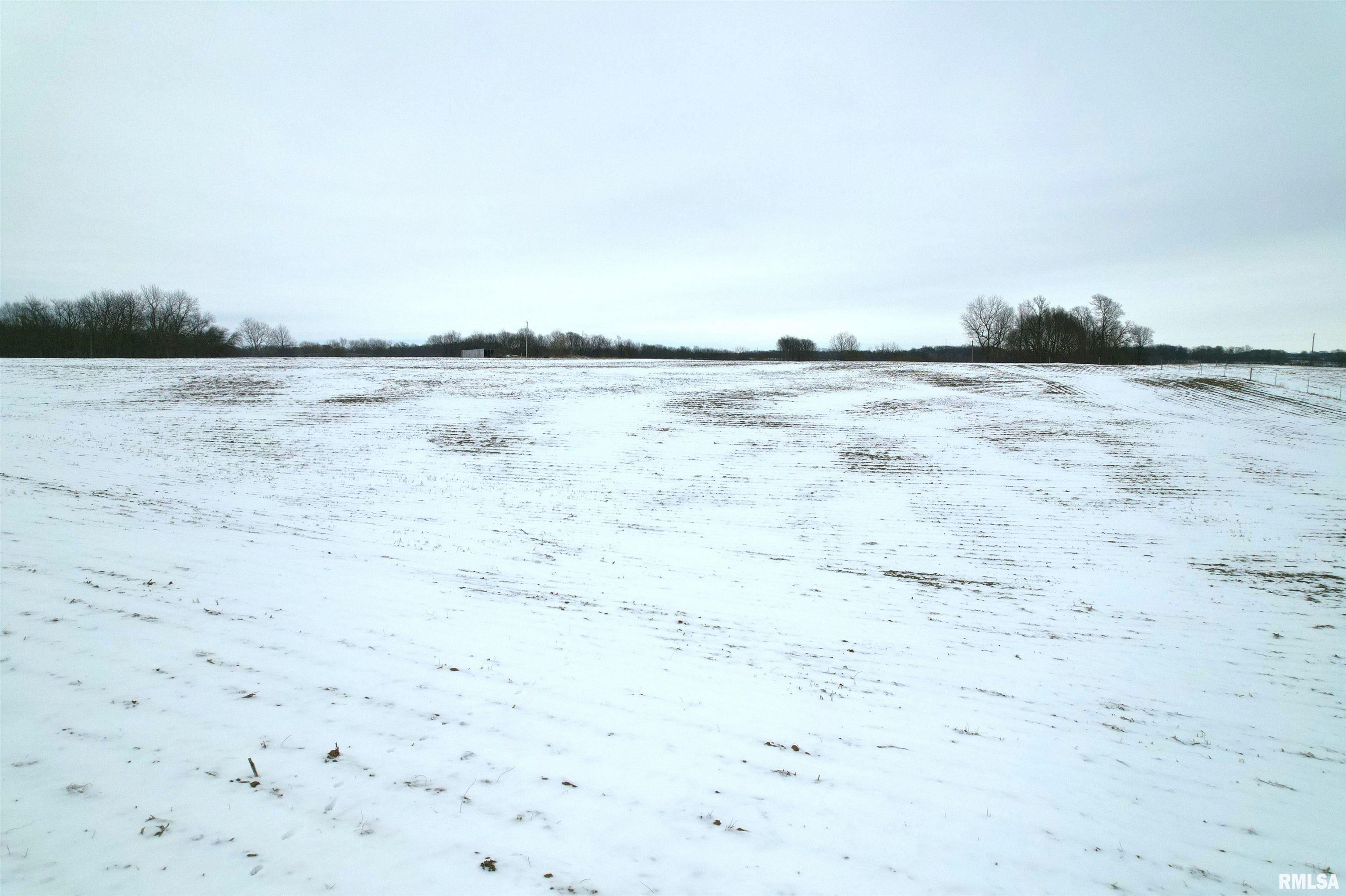 Ater Road Arenzville, IL 62611 - Photo 14 of 15