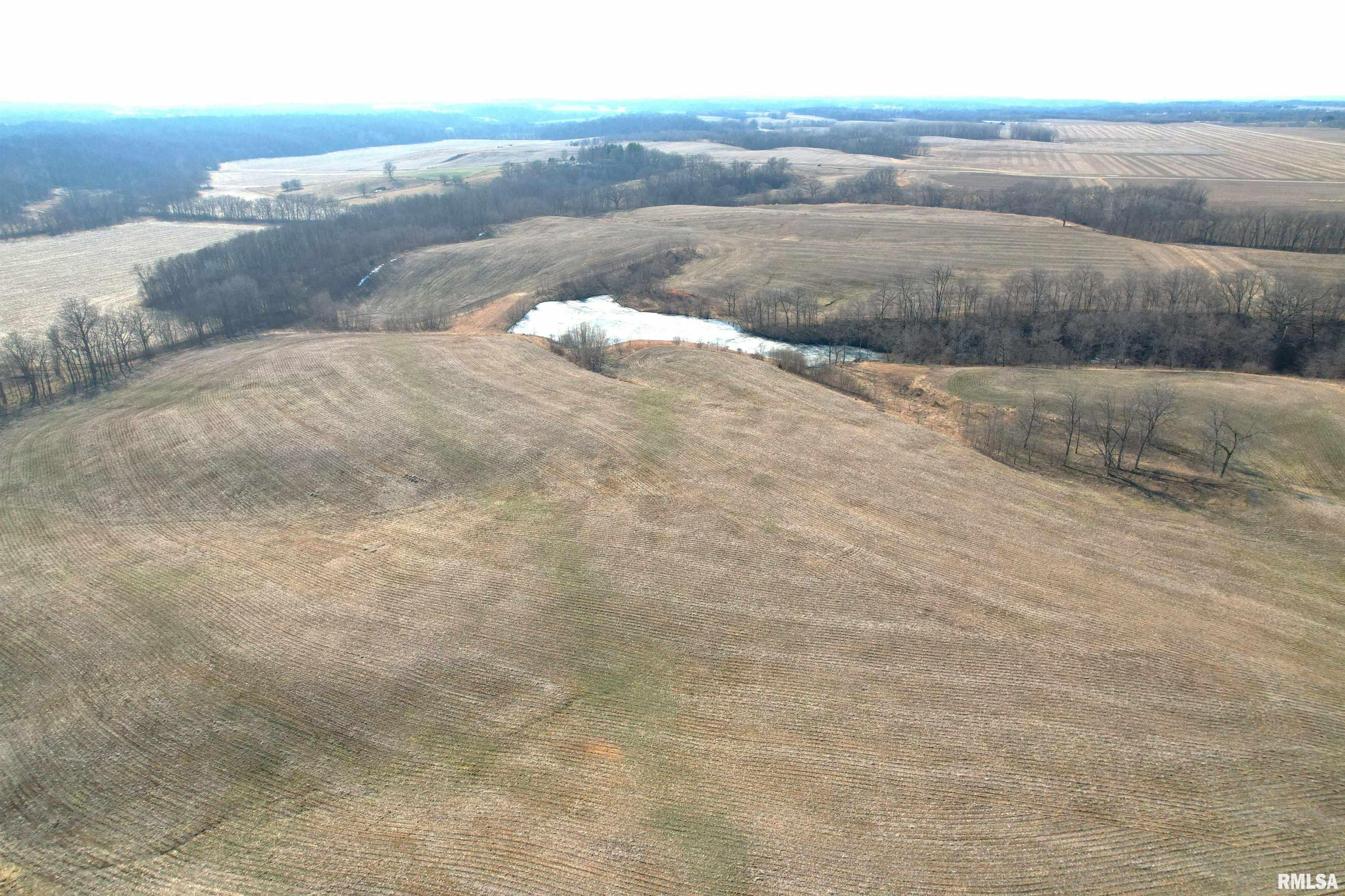 Ater Road Arenzville, IL 62611 - Photo 9 of 18