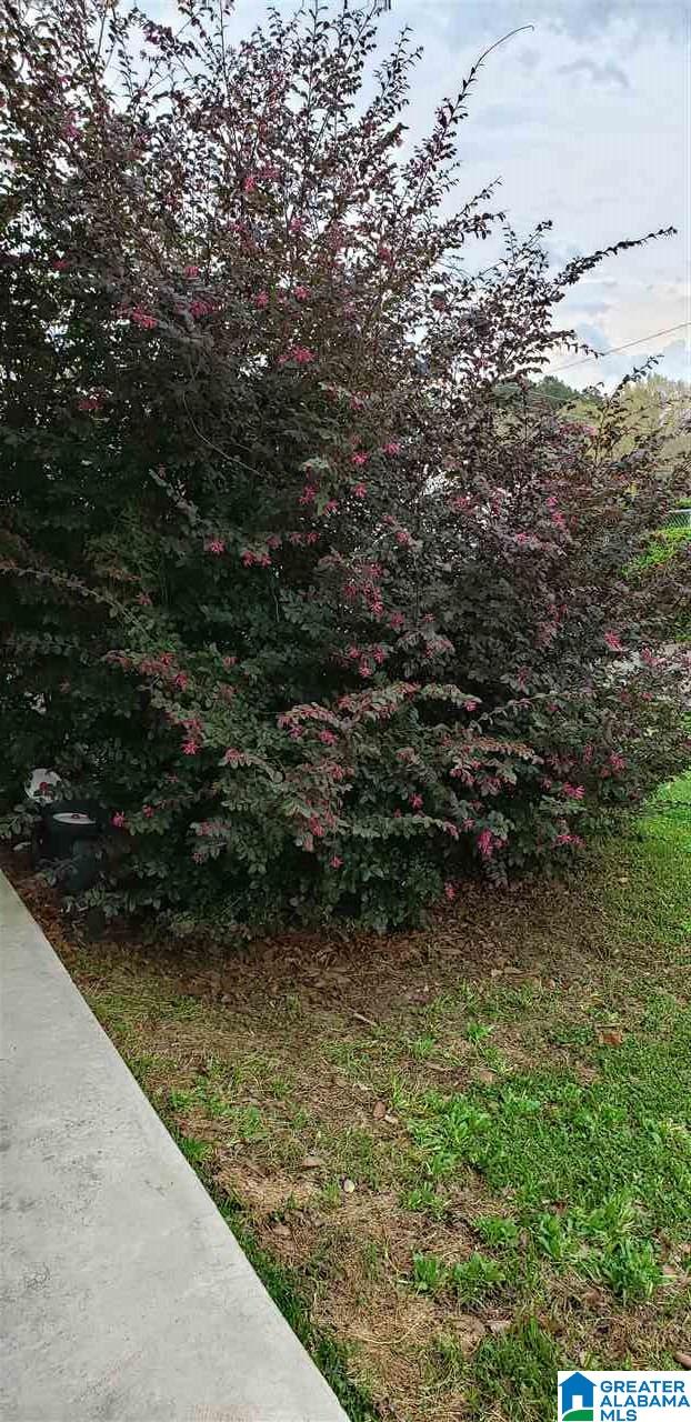 413 3rd Avenue West Oneonta, AL 35121 - Photo 26 of 26