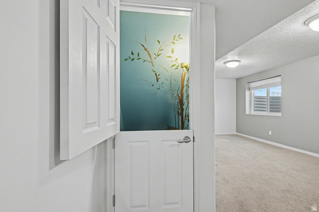 281 Winchester Drive Springville, UT 84663 - Photo 10 of 27 Detailed view of a textured ceiling and carpet flooring
