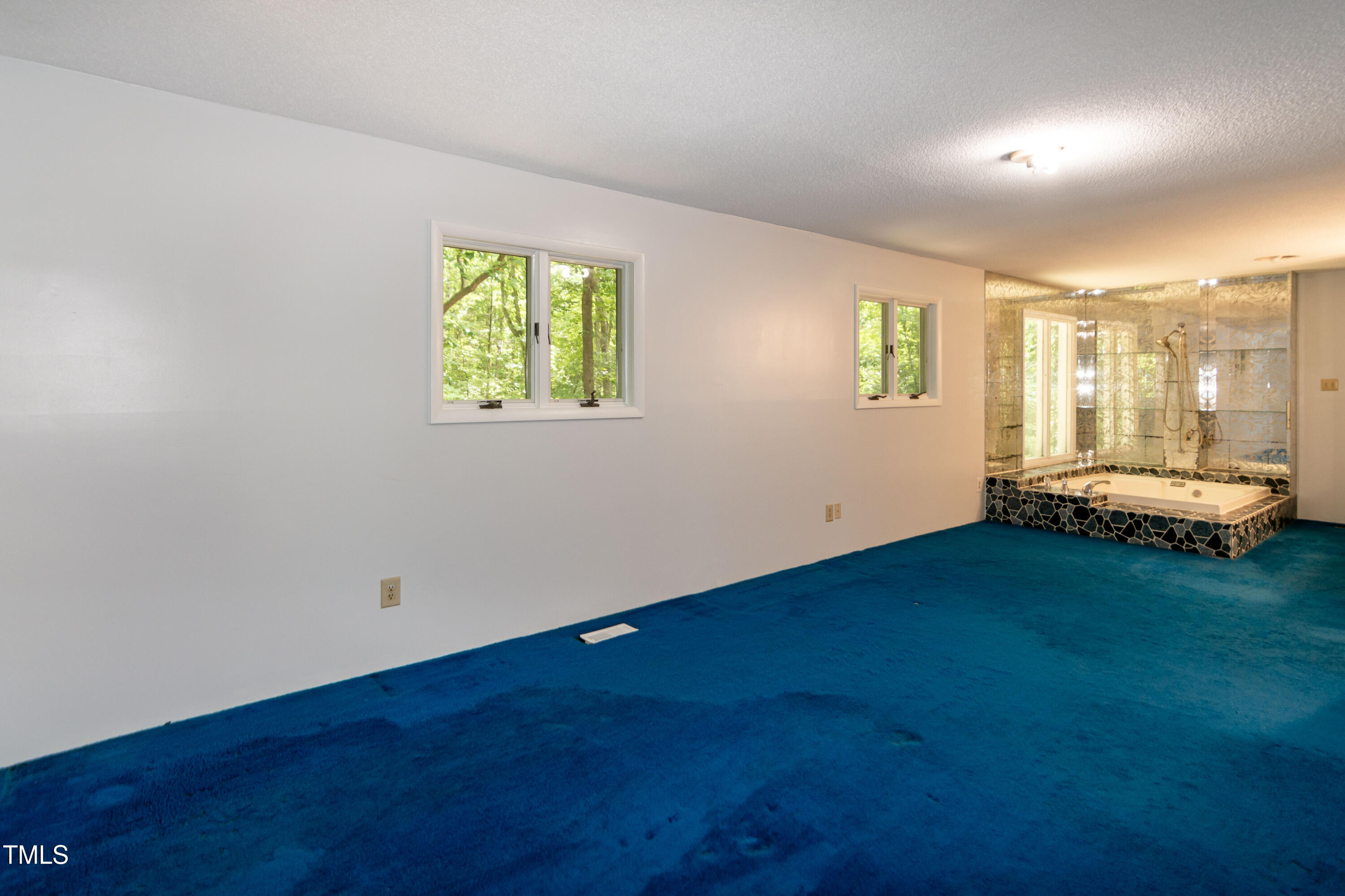 5213 Tomahawk Trail Raleigh, NC 27610 - Photo 37 of 80 an empty room with windows
