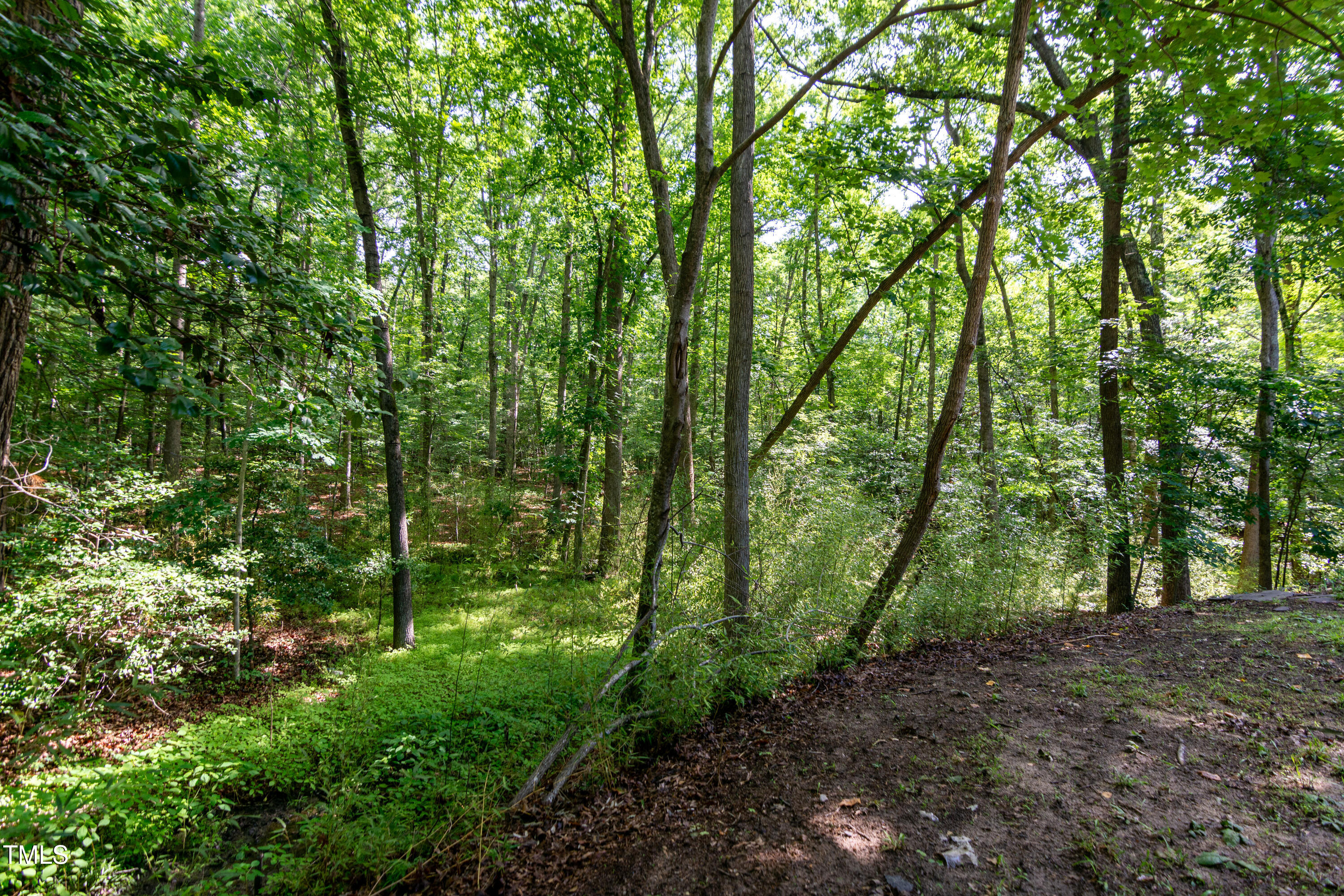 5213 Tomahawk Trail Raleigh, NC 27610 - Photo 75 of 80 a view of outdoor space and green space