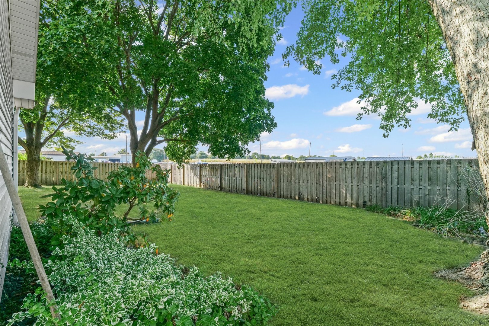 1613 Carolina Drive Rantoul, IL 61866 - Photo 49 of 50 a view of a back yard