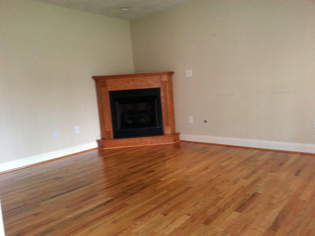 5191 Horseshoe Bend Road Goodview, VA 24095 - Photo 6 of 8 a view of an empty room with wooden floor and a fireplace