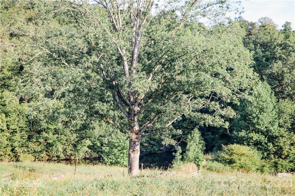 675 Greasy Creek Road Marion, NC 28752 - Photo 38 of 43 Gallery Image 38