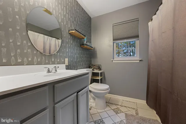 a bathroom with a sink a toilet and mirror