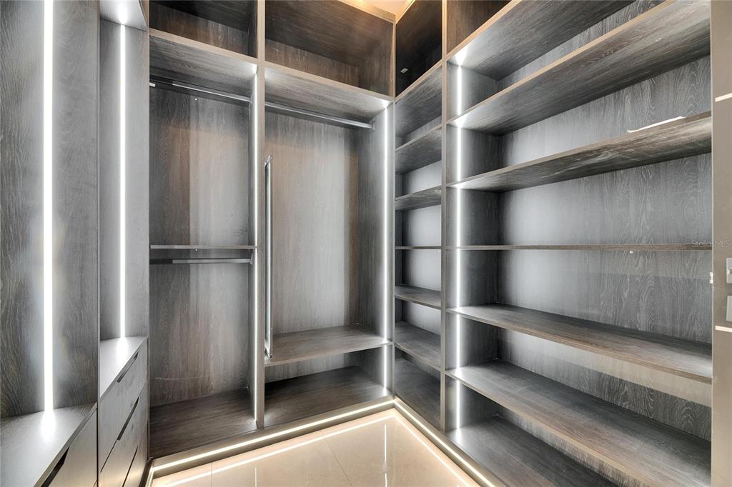 6538 Simone Shores Circle Apollo Beach, FL 33572 - Photo 39 of 88 a view of walk in closet with empty racks