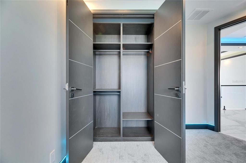 6538 Simone Shores Circle Apollo Beach, FL 33572 - Photo 60 of 88 a view of walk in closet with empty racks