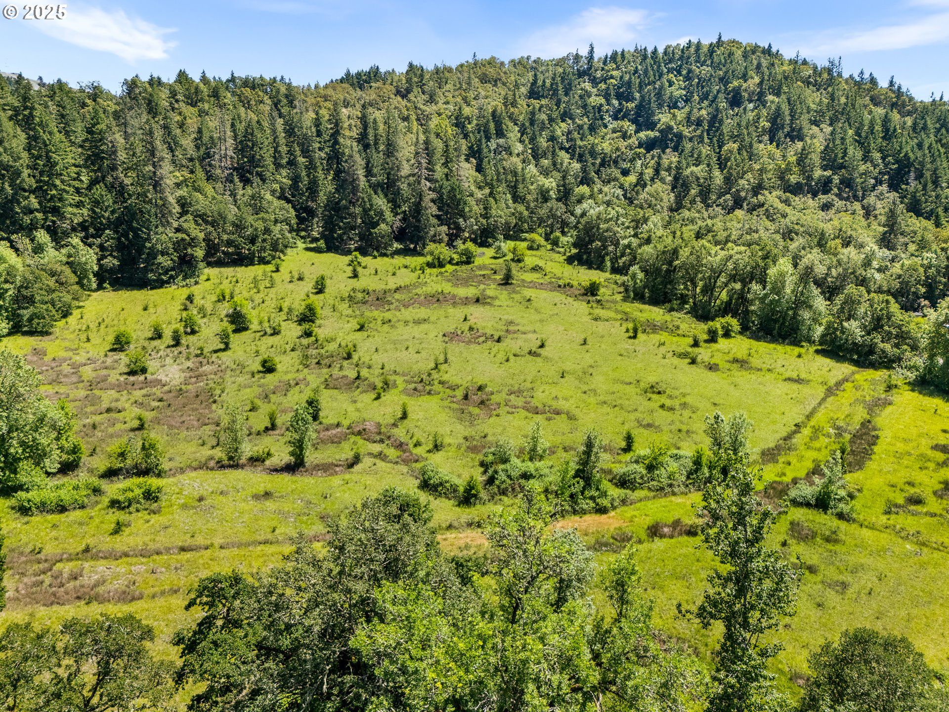 Northeast Newton Creek Road Roseburg, OR 97470 - Photo 16 of 17