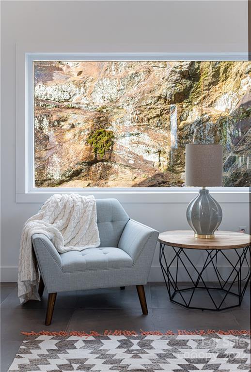 170 South Delano Road Asheville, NC 28805 - Photo 13 of 48 a living room with a couch and a table