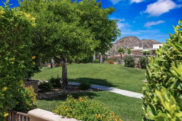 a view of a garden with a fountain