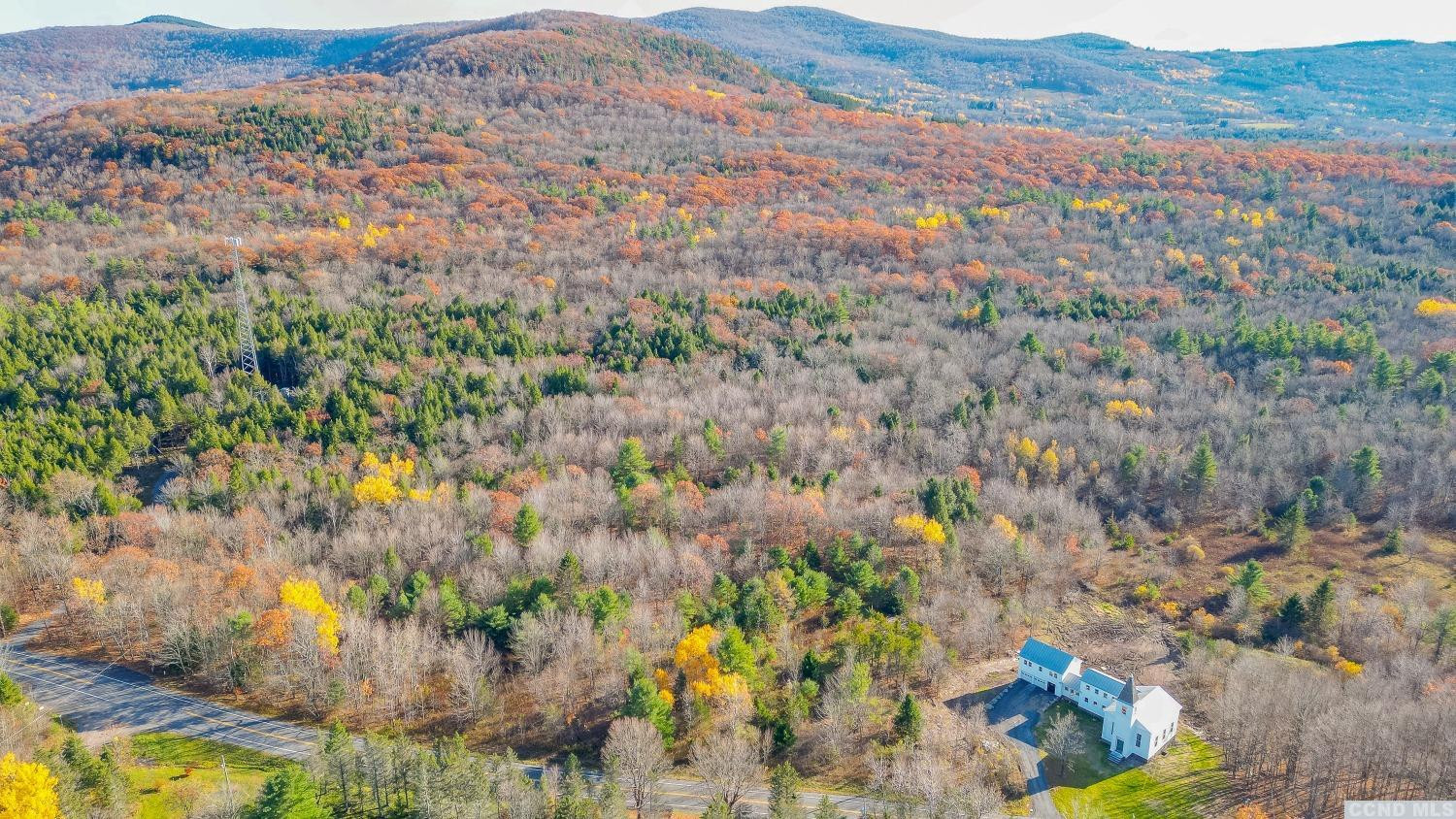 1174 Potter Mountain Road Gilboa, NY 12076 - Photo 84 of 94 a view of city and mountain