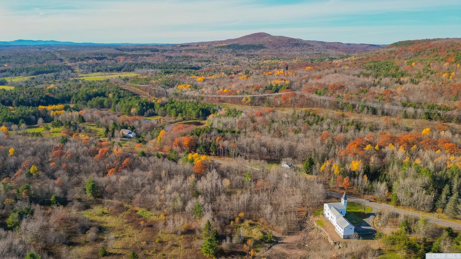 1174 Potter Mountain Road Gilboa, NY 12076 - Photo 88 of 94 an aerial view of residential house and green space