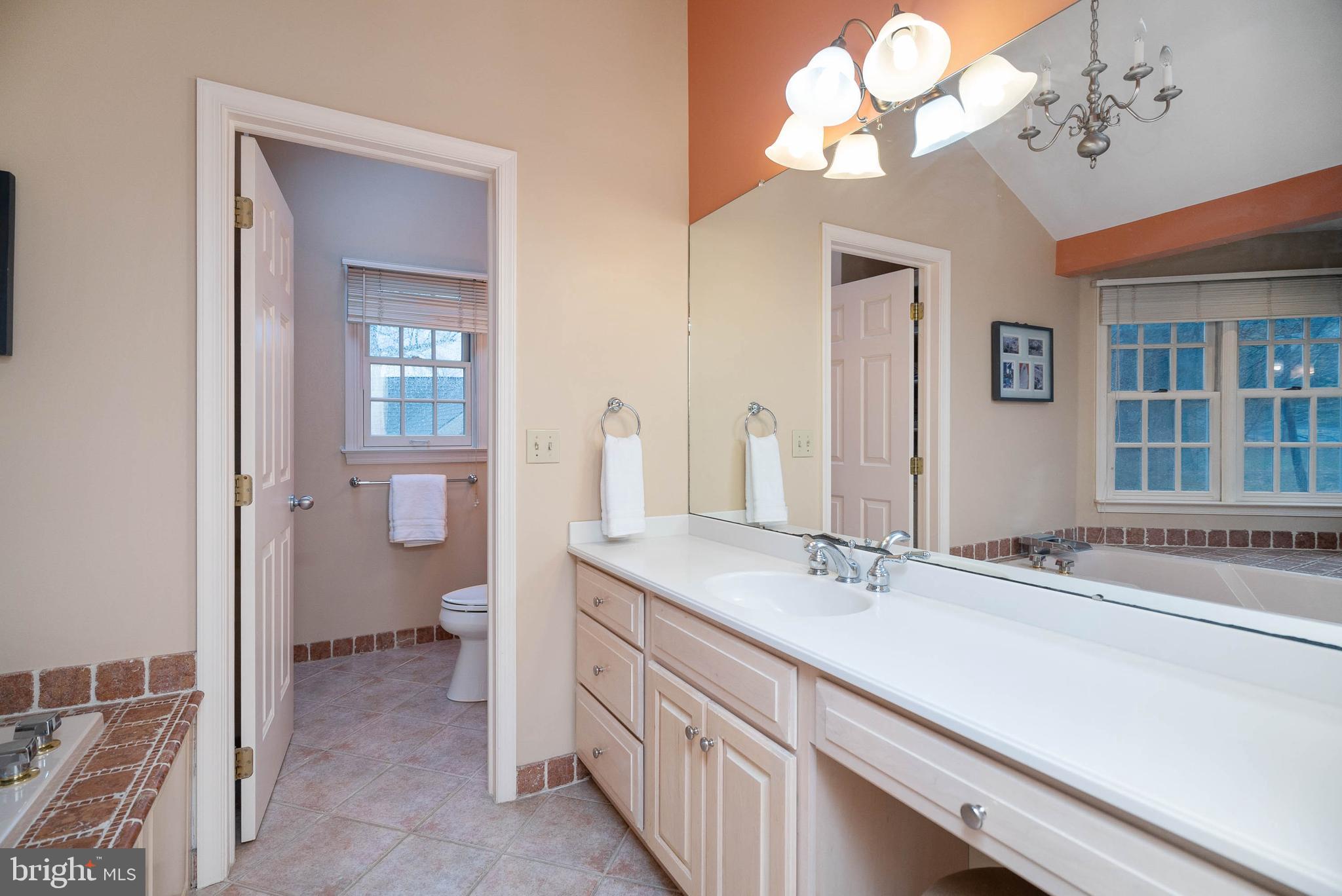 243 Painter Road Media, PA 19063 - Photo 23 of 50 Master Bathroom