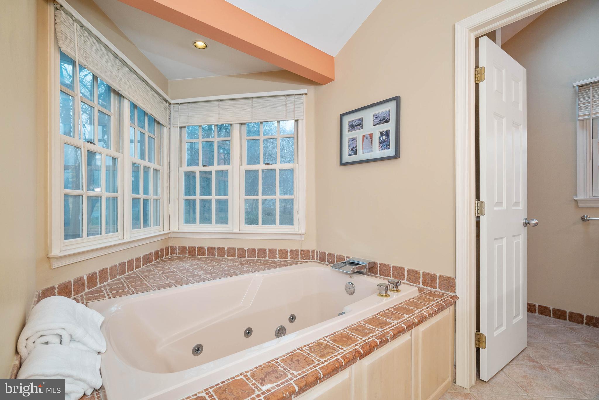 243 Painter Road Media, PA 19063 - Photo 24 of 50 Master Bathroom