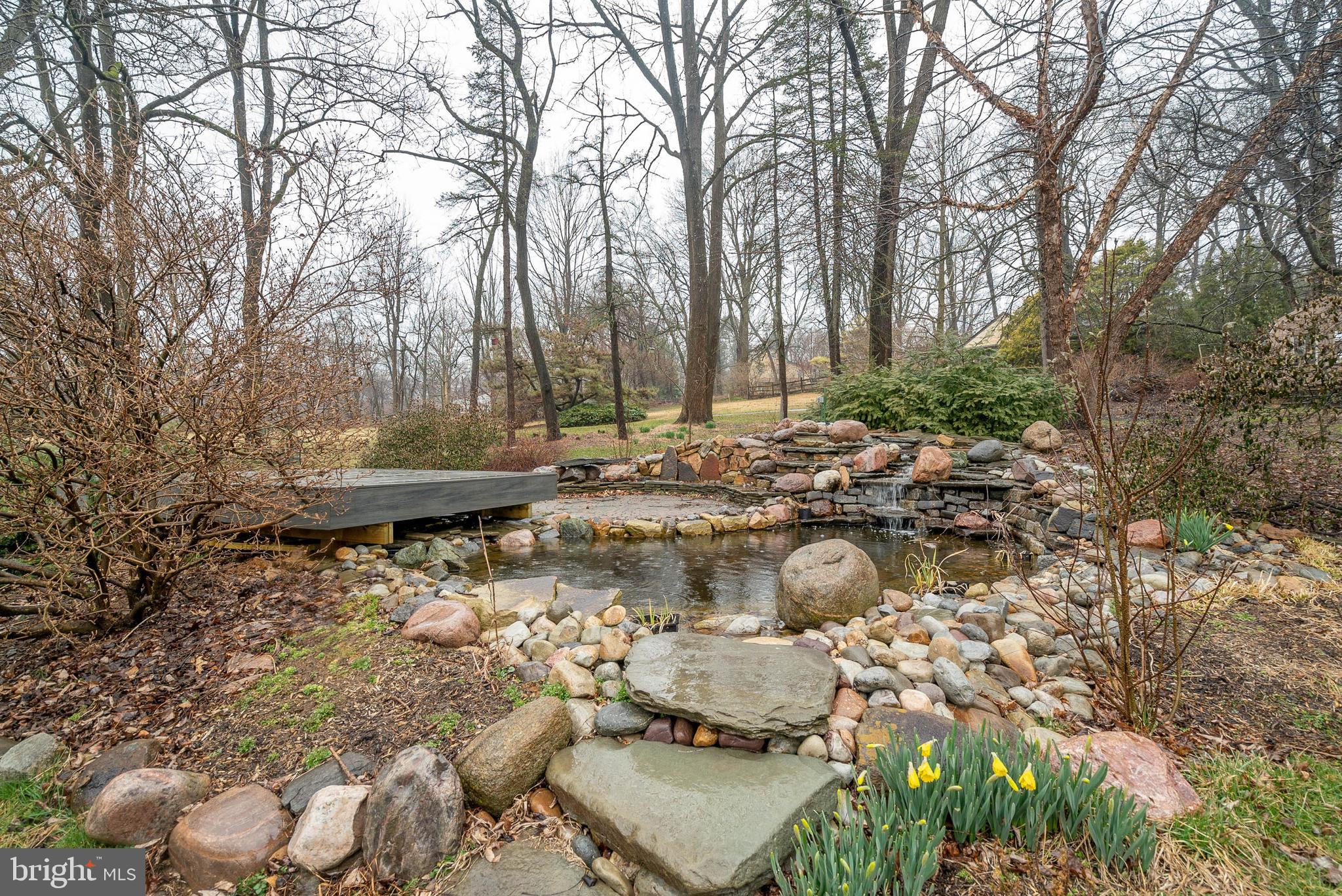 243 Painter Road Media, PA 19063 - Photo 47 of 50 Pond