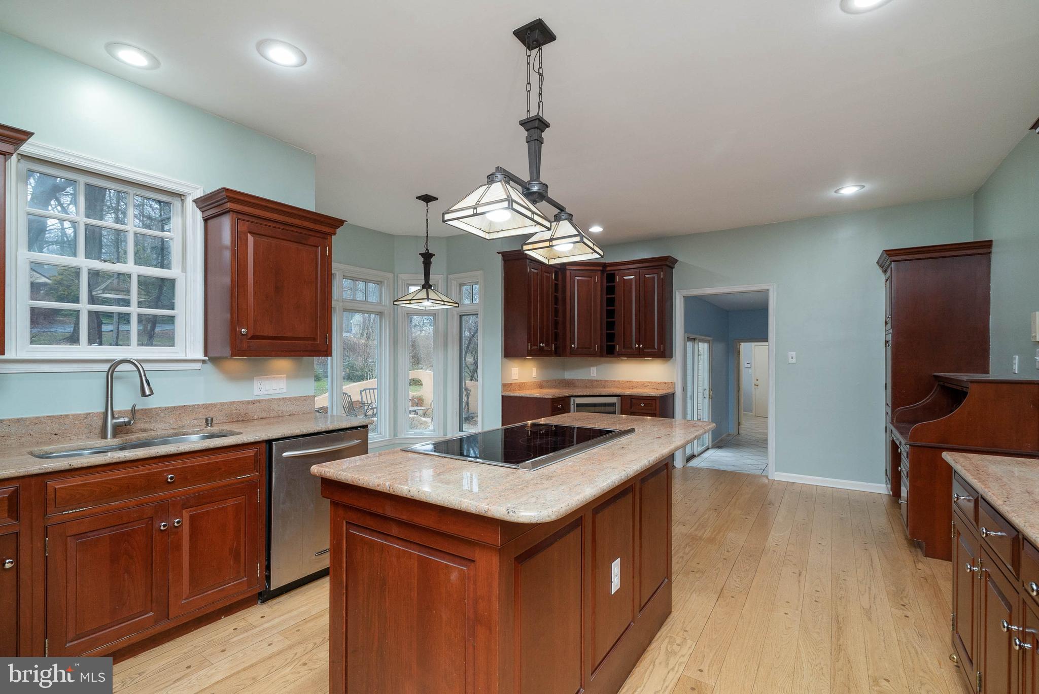 243 Painter Road Media, PA 19063 - Photo 9 of 50 Kitchen