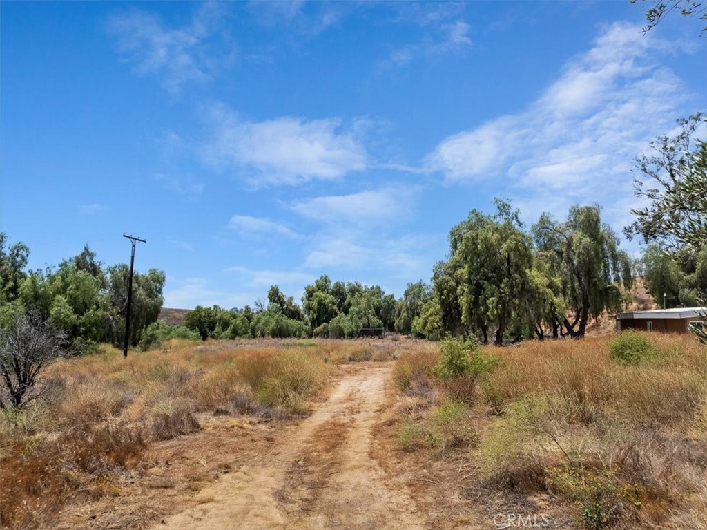 1350 Firethorn Avenue Riverside, CA 92504 - Photo 6 of 16 a view of a dry yard with trees