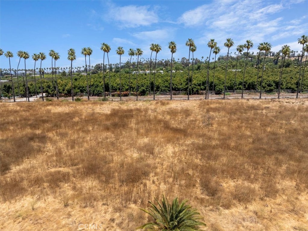 1350 Firethorn Avenue Riverside, CA 92504 - Photo 8 of 16