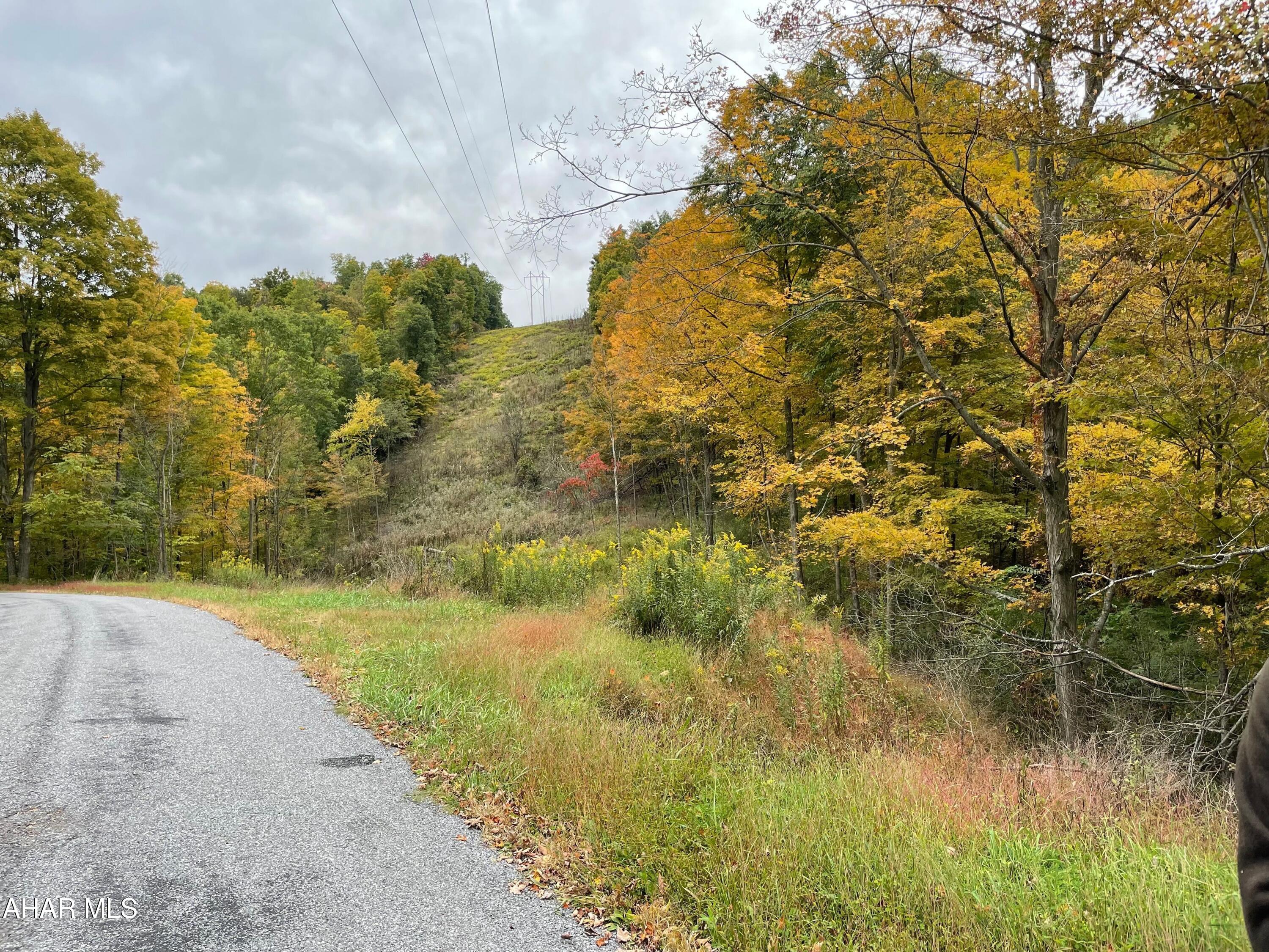 2491 Baughman Cemetery Road Tyrone, PA 16686 - Photo 1 of 19