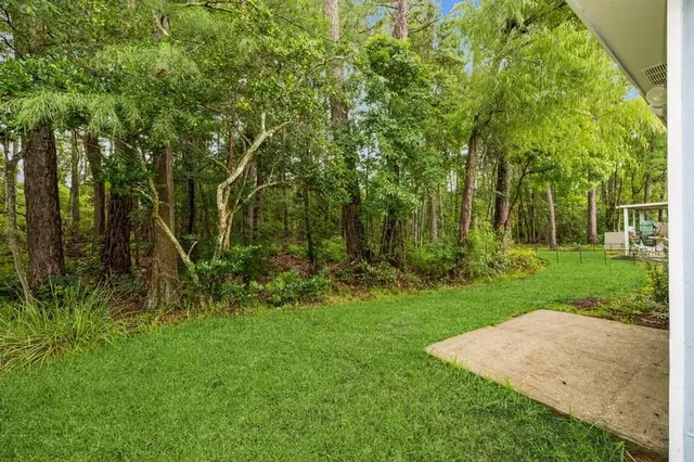 a view of a backyard