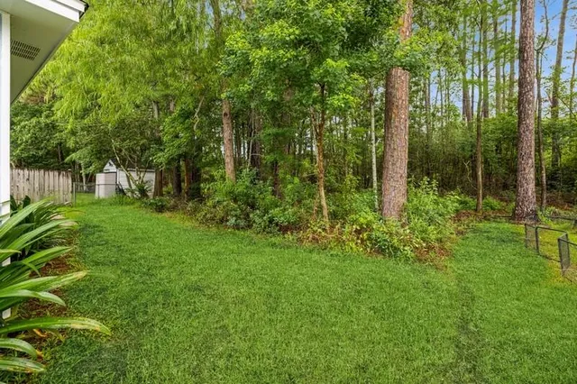 a view of a garden with large trees