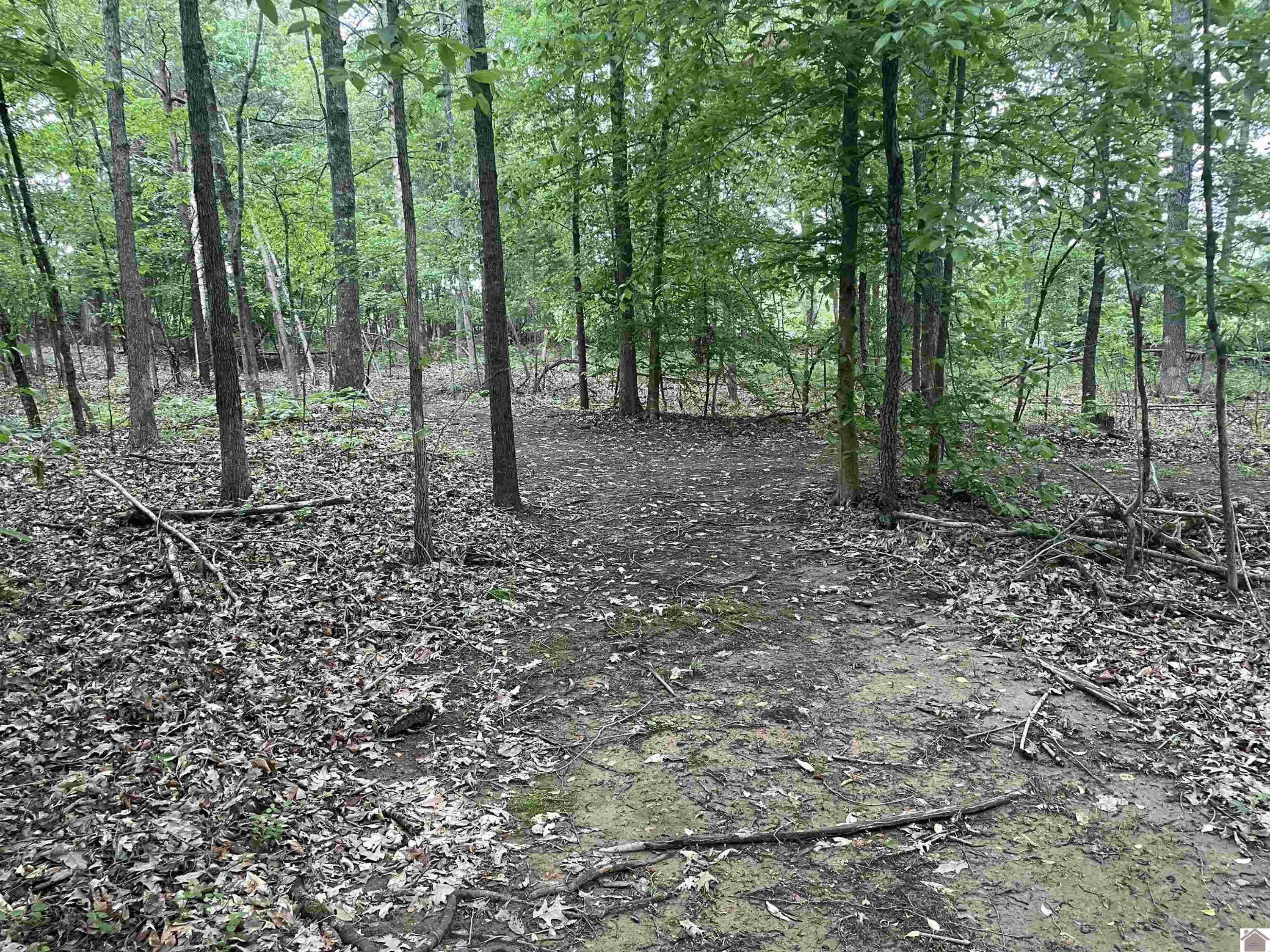 650 Lewistown Church Road Princeton, KY 42445 - Photo 42 of 47 Photo 43