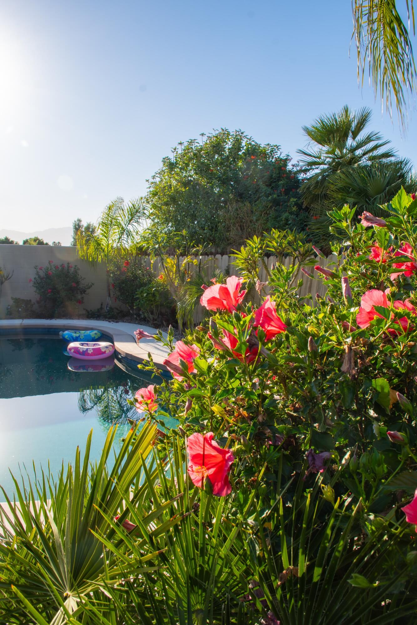 80746 Columbia Avenue Indio, CA 92201 - Photo 31 of 38 DSC_3120-Enhanced-NR