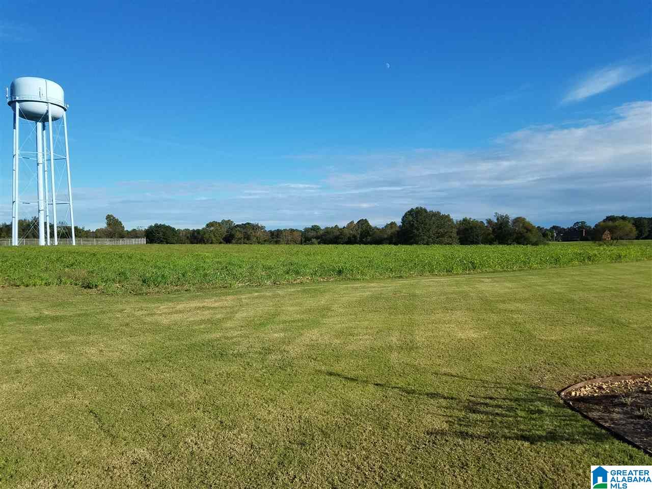 1602 River Bend Road Altoona, AL 35952 - Photo 21 of 34
