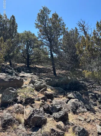 $10,000 | 239 Geronimo Drive, Concho, AZ 85924